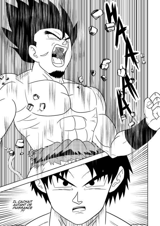 Fan-fiction Dragon Ball
